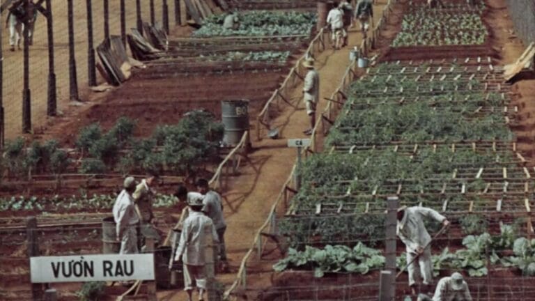 Gardening Helped WWII POWs Survive Captivity and Chaos - work in garden wc