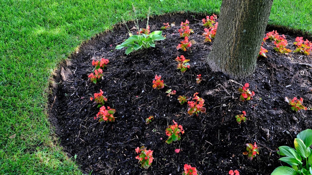 Front Yard Upgrades: 25 Simple Landscaping Ideas That Add Value - yard garden bed edging ss1786095806 degm