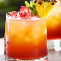 Sip Paradise With This Bahama Mama Cocktail Recipe - Bahama Mama Cocktail midia
