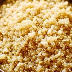 The Easiest Way to Cook Perfect Quinoa Every Time 5 The Easiest Way to Cook Perfect Quinoa Every Time - Basic Quinoa midia