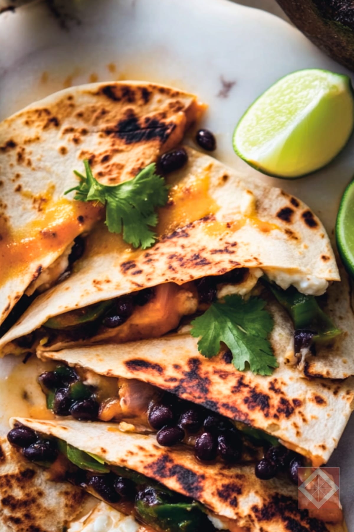 Smoky Black Bean Quesadillas with Roasted Poblano Peppers for Dinner 3 Smoky Black Bean Quesadillas with Roasted Poblano Peppers for Dinner - Black Bean Quesadillas pin 1 midia