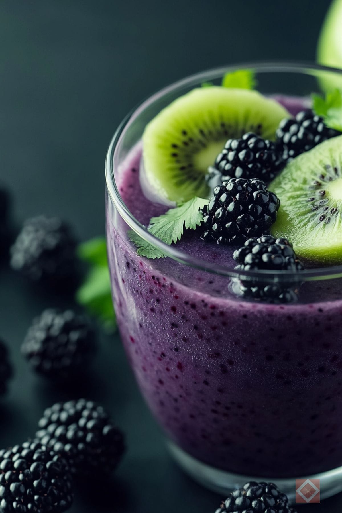 Best Blackberry Kiwi Blend Juicing Recipe for Morning Energy Boost 4 Best Blackberry Kiwi Blend Juicing Recipe for Morning Energy Boost - Blackberry Kiwi Blend Juice pin 2 midia