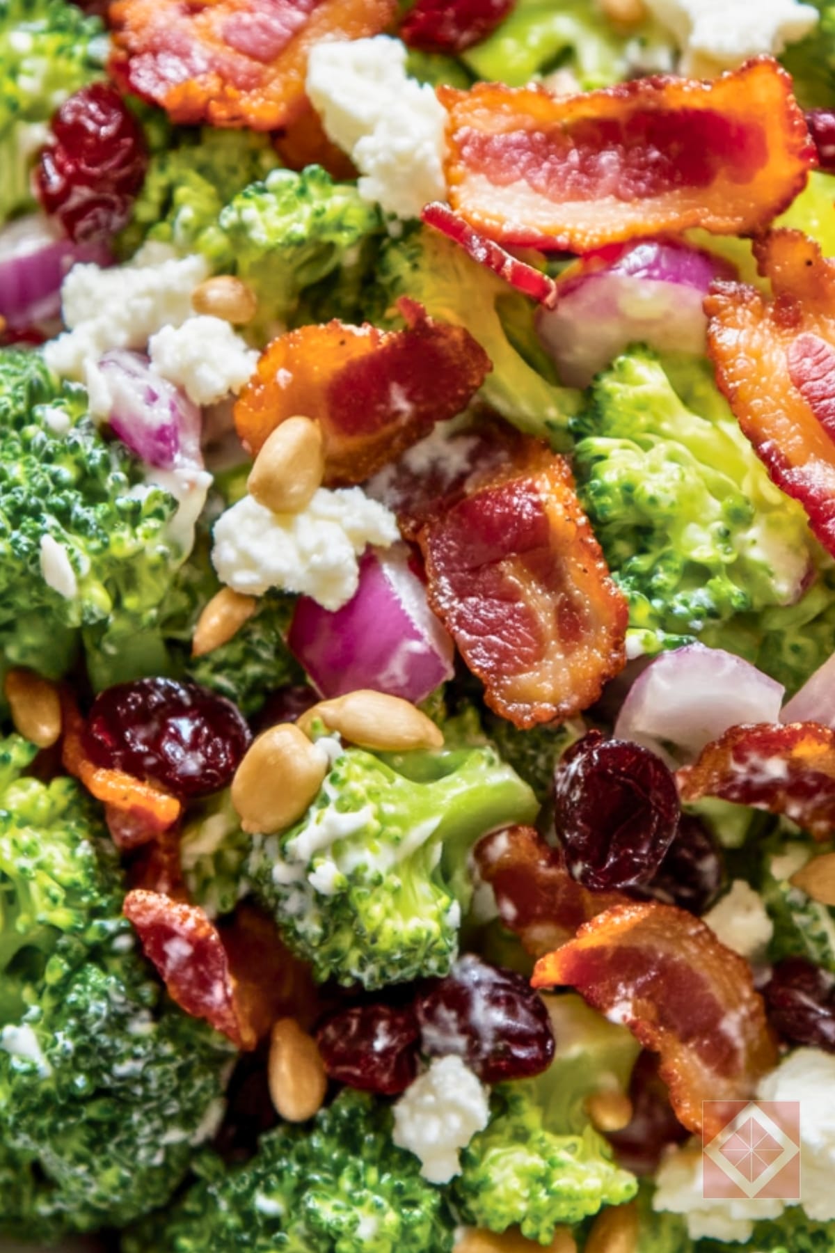 Crispy, Creamy, Crunchy: This Broccoli Salad Has It All 4 Crispy, Creamy, Crunchy: This Broccoli Salad Has It All - Broccoli Salad Recipe with Crispy Bacon Sunflower Seeds and Cranberries pin 2 midia