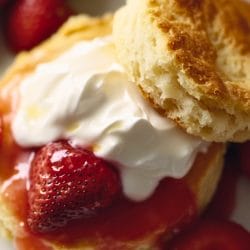Easy Buttermilk Biscuits with Whipped Cream Perfection 6 Easy Buttermilk Biscuits with Whipped Cream Perfection - Buttermilk Biscuits with Strawberries and Cream midia