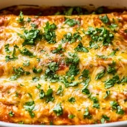 Best Easy Chicken Enchiladas One-Pot Recipe Your Family Will Love 4 Best Easy Chicken Enchiladas One-Pot Recipe Your Family Will Love - Chicken Enchiladas midia