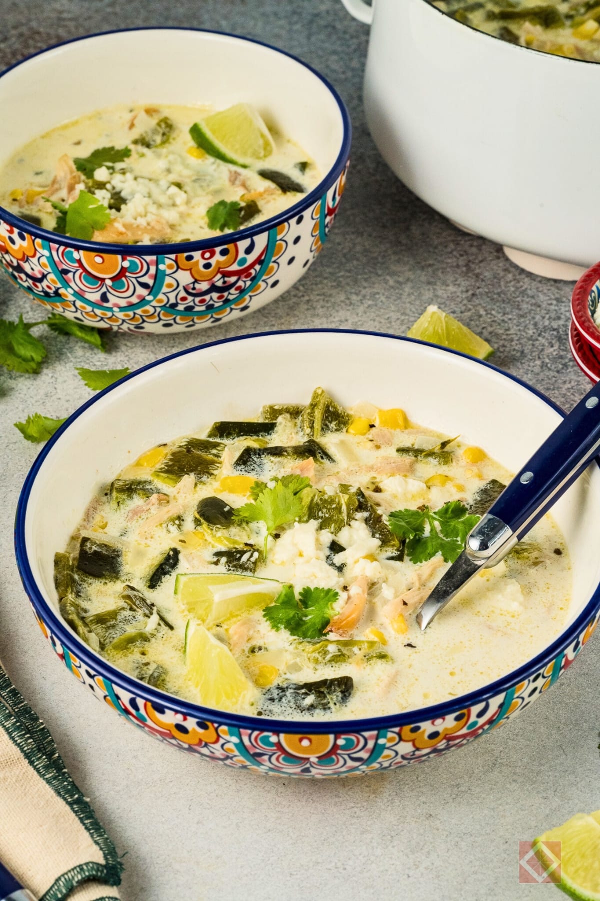 Creamy Chicken Poblano Soup Recipe: Smoky, Spicy, and Satisfying 6 Creamy Chicken Poblano Soup Recipe: Smoky, Spicy, and Satisfying - Chicken Poblano Soup pl 14