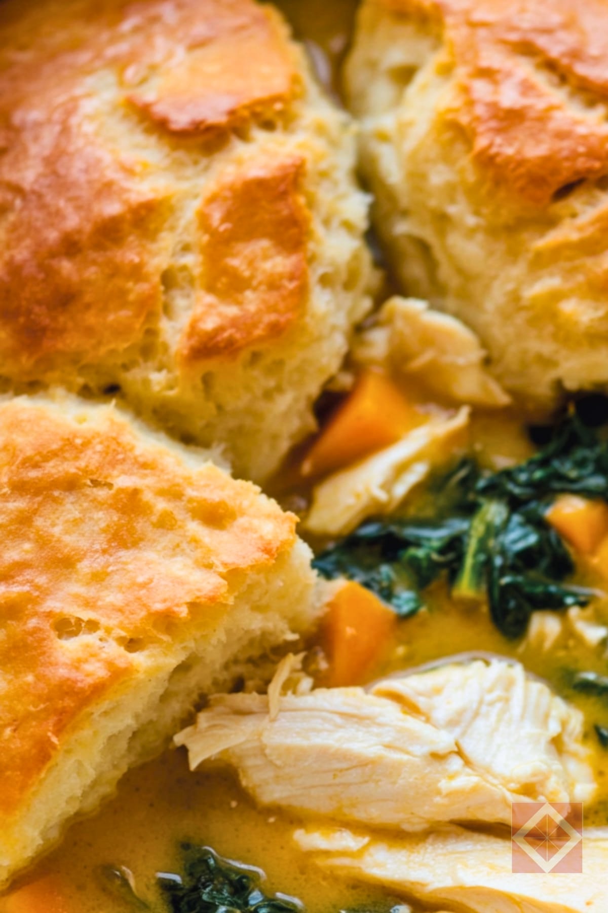 14 Best One-Pot Stews & Chilis to Master in Your Dutch Oven 9 14 Best One-Pot Stews & Chilis to Master in Your Dutch Oven - Chicken Stew with Cheddar Biscuits pin 1 midia