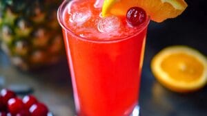 A Sparkling & Sophisticated Cinderella Mocktail 1 A Sparkling & Sophisticated Cinderella Mocktail - Cinderella Mocktail midia