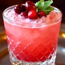 A Simple Yet Sophisticated Cranberry Gin Fizz Recipe 6 A Simple Yet Sophisticated Cranberry Gin Fizz Recipe - Cranberry Gin Fizz Cocktail midia