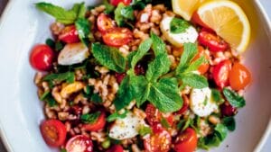 Dinner-Ready Farro Salad Recipe with Smoked Mozzarella & Mint 1 Dinner-Ready Farro Salad Recipe with Smoked Mozzarella & Mint - Farro Salad midia