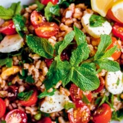 Dinner-Ready Farro Salad Recipe with Smoked Mozzarella & Mint 5 Dinner-Ready Farro Salad Recipe with Smoked Mozzarella & Mint - Farro Salad midia