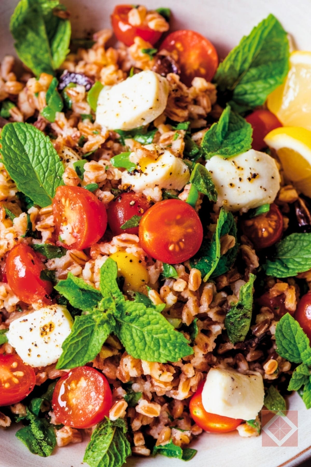 Dinner-Ready Farro Salad Recipe with Smoked Mozzarella & Mint 3 Dinner-Ready Farro Salad Recipe with Smoked Mozzarella & Mint - Farro Salad pin 1 midia