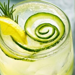 Classic Gimlet Cocktail: Simple Elegance in a Glass 5 Classic Gimlet Cocktail: Simple Elegance in a Glass - Gimlet Cocktail midia