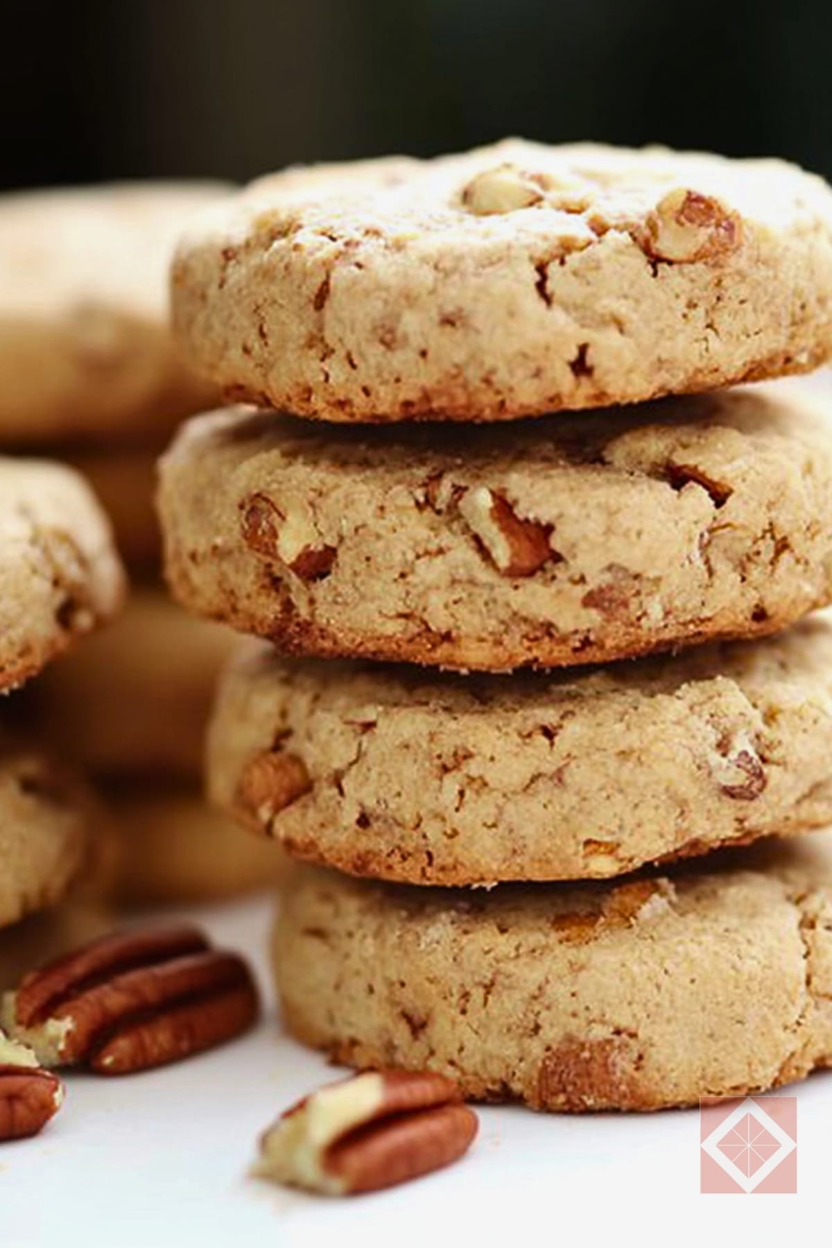 Buttery Pecan Sandies: An Easy Homemade Dessert 4 Buttery Pecan Sandies: An Easy Homemade Dessert - Homemade Pecan Sandies pin 2 midia