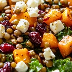 Warm & Hearty Butternut Squash Salad Recipe 5 Warm & Hearty Butternut Squash Salad Recipe - Roasted Butternut Squash Kale and Lentil Salad with Maple Balsamic Vinaigrette midia