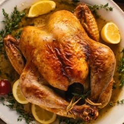 Foolproof Roasted Chicken & Rich Gravy Recipe 6 Foolproof Roasted Chicken & Rich Gravy Recipe - Roasted Chicken and Gravy Recipe midia