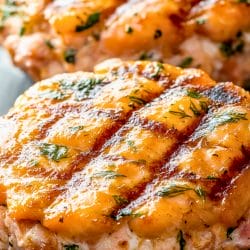 Savory Salmon Patties for Carnivore and Keto Diets 6 Savory Salmon Patties for Carnivore and Keto Diets - Salmon Patties midia
