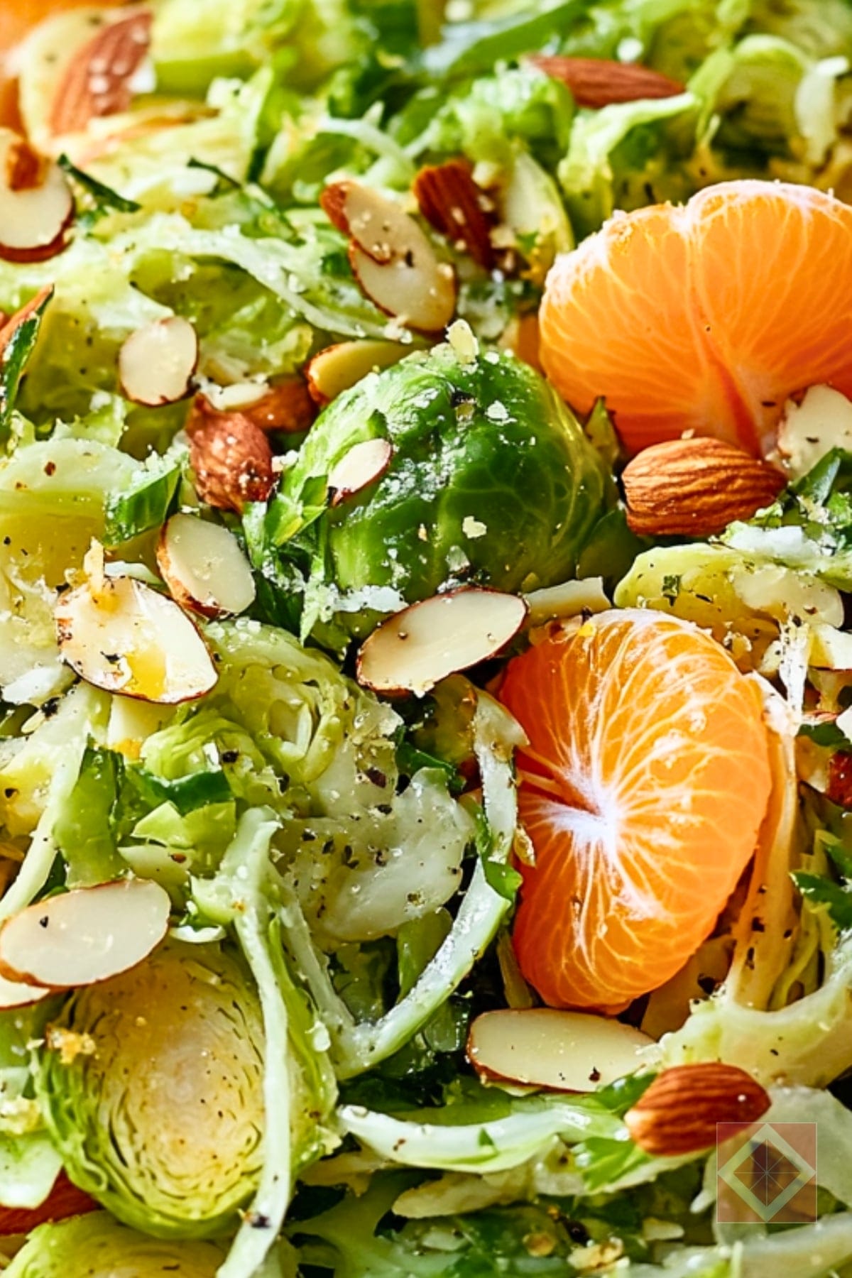 Crunchy Brussels Sprouts Salad with Citrus Vinaigrette 3 Crunchy Brussels Sprouts Salad with Citrus Vinaigrette - Shaved Brussels Sprouts Fennel and Mandarin Salad with Lemon Vinaigrette pin 1 midia