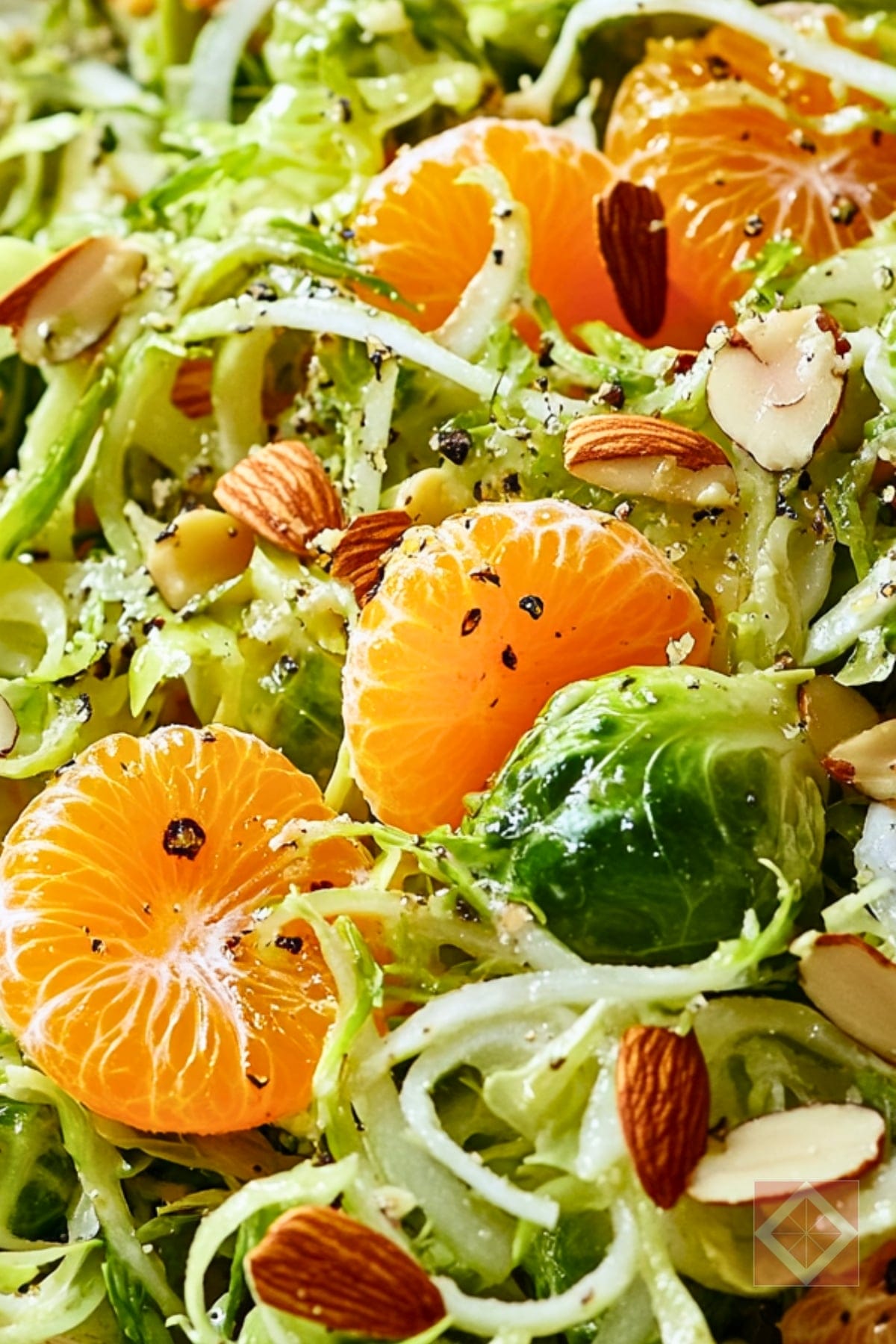 Crunchy Brussels Sprouts Salad with Citrus Vinaigrette 4 Crunchy Brussels Sprouts Salad with Citrus Vinaigrette - Shaved Brussels Sprouts Fennel and Mandarin Salad with Lemon Vinaigrette pin 2 midia