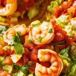 Easy Shrimp Avocado Tostadas for Family Gatherings 5 Easy Shrimp Avocado Tostadas for Family Gatherings - Shrimp Avocado Tostadas midia