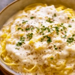 Healthy Alfredo Alternative: Spaghetti Squash Perfection 5 Healthy Alfredo Alternative: Spaghetti Squash Perfection - Spaghetti Squash midia