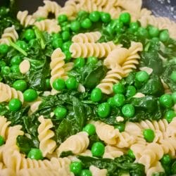 Quick 10 Minute Stovetop Fusilli Dinner Recipe: Cheesy, Veggie-Packed & Delicious 5 Quick 10 Minute Stovetop Fusilli Dinner Recipe: Cheesy, Veggie-Packed & Delicious - Stovetop Fusilli midia