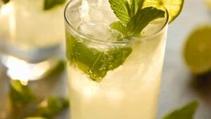 Tequila Mojito: Easy, Fresh & Irresistible 1 Tequila Mojito: Easy, Fresh & Irresistible - Tequila Mojito Cocktail midia