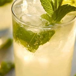 Tequila Mojito: Easy, Fresh & Irresistible 5 Tequila Mojito: Easy, Fresh & Irresistible - Tequila Mojito Cocktail midia