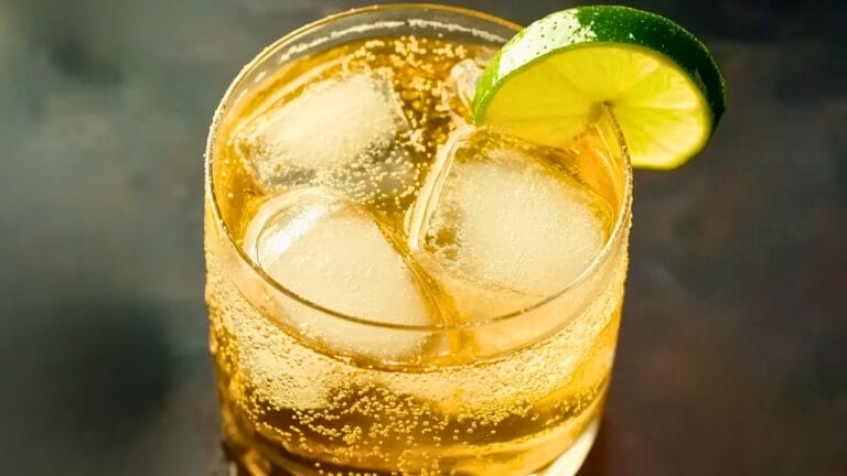 You Only Need Tequila & Soda—But This One Detail Changes Everything 2 You Only Need Tequila & Soda—But This One Detail Changes Everything - Tequila and Soda Cocktail midia
