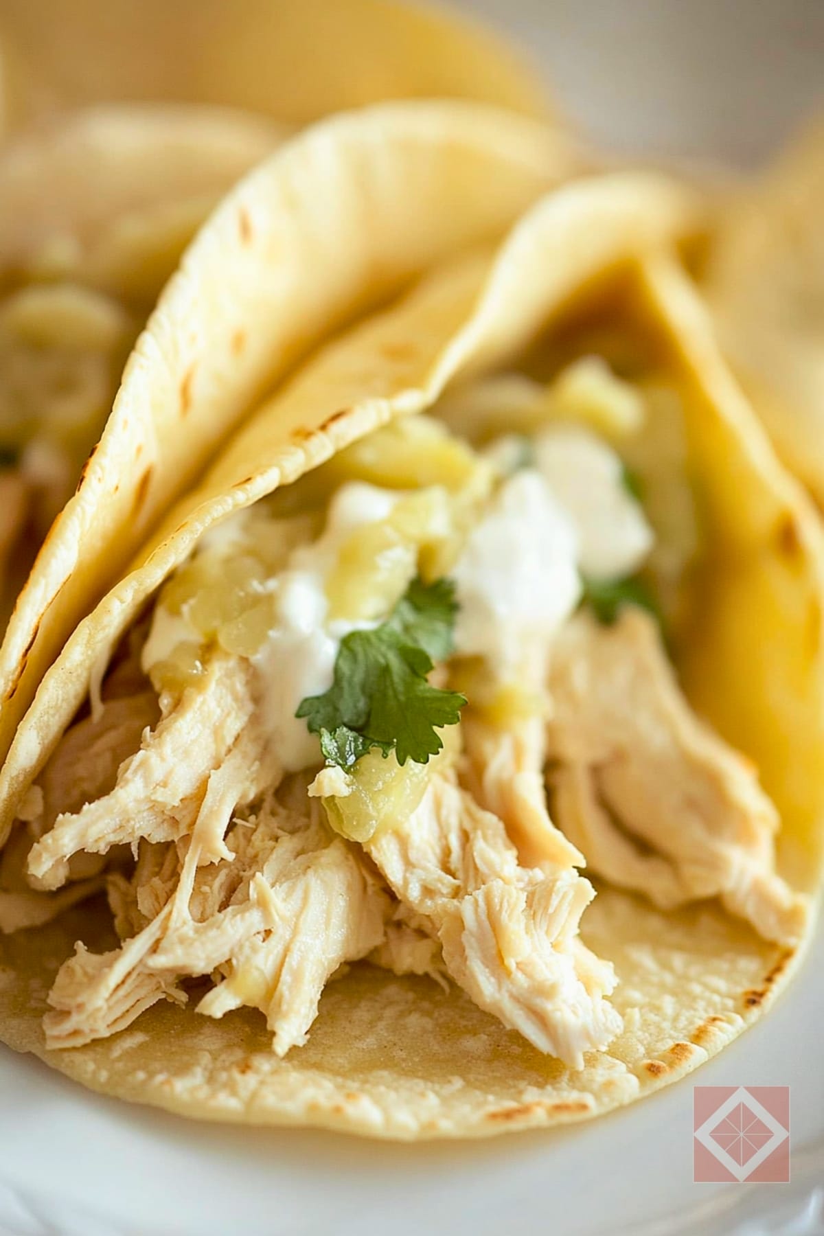 Best Easy Tomatillo Chicken Soft Tacos for Two: One-Pot Recipe 2 Best Easy Tomatillo Chicken Soft Tacos for Two: One-Pot Recipe - Tomatillo Chicken Soft Tacos for Two pin 1 midia