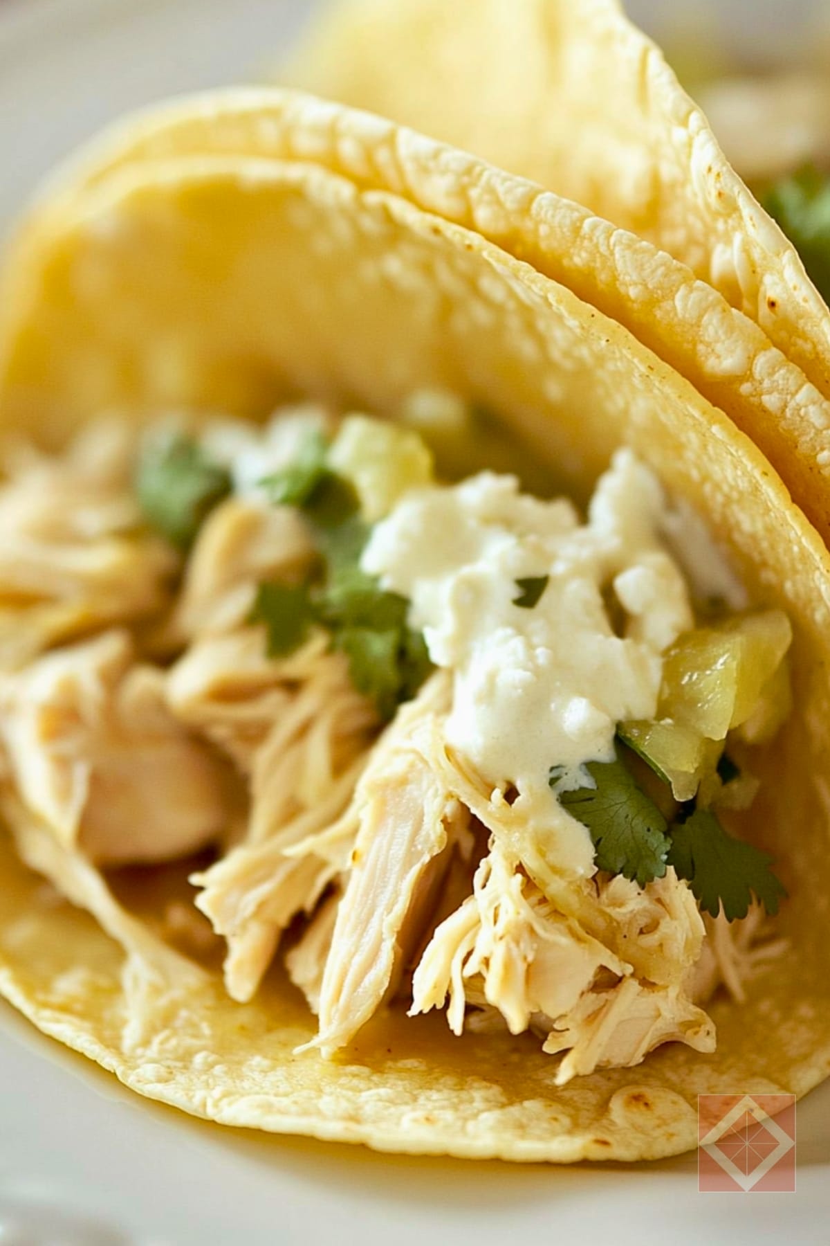 Best Easy Tomatillo Chicken Soft Tacos for Two: One-Pot Recipe 3 Best Easy Tomatillo Chicken Soft Tacos for Two: One-Pot Recipe - Tomatillo Chicken Soft Tacos for Two pin 2 midia
