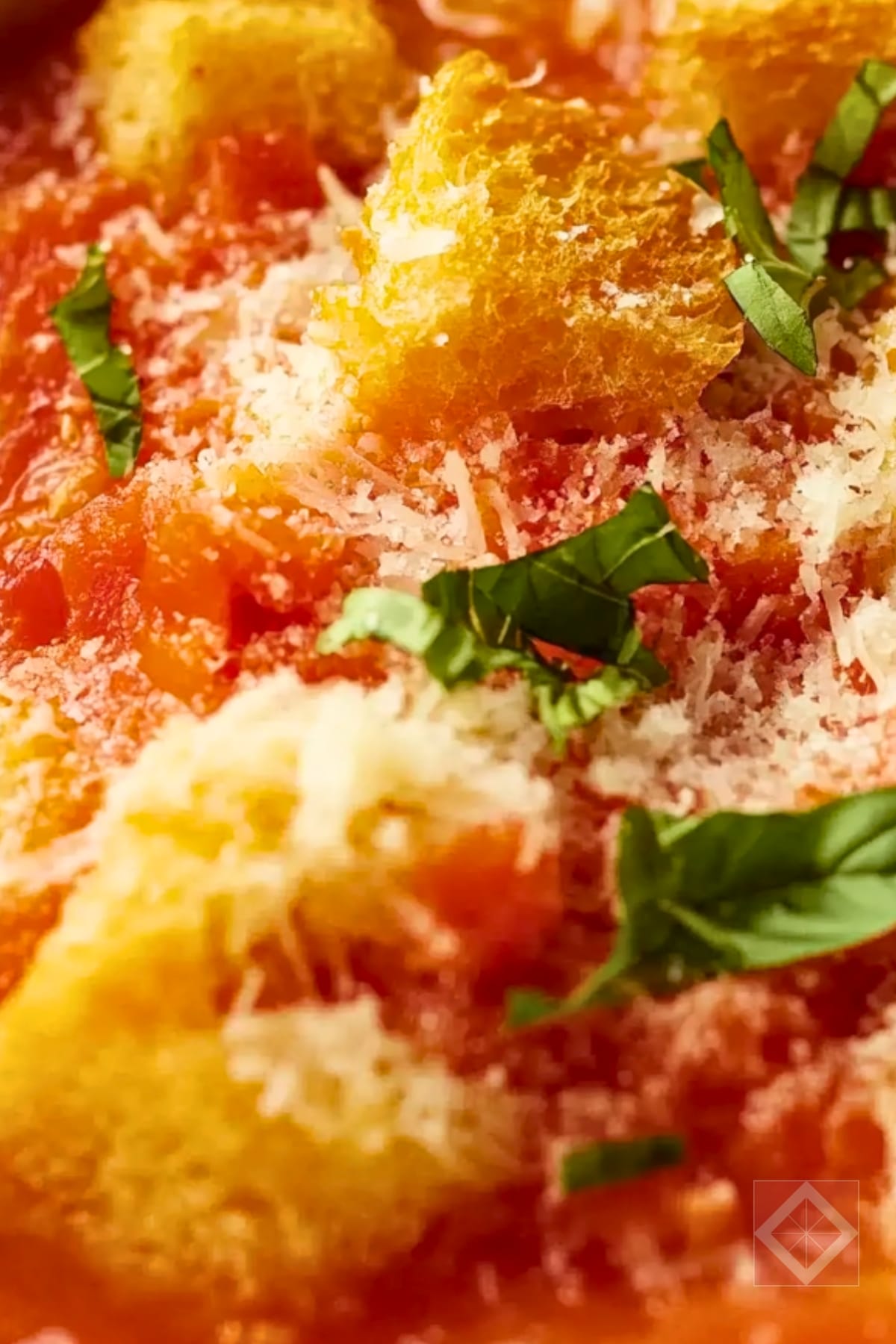 Easy Tuscan Tomato & Bread Soup One Pot Recipe for Hearty Meals 4 Easy Tuscan Tomato & Bread Soup One Pot Recipe for Hearty Meals - Tuscan Tomato and Bread Soup pin 2 midia