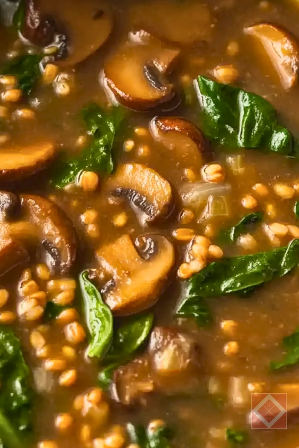 Easy Wheat Berry & Wild Mushroom Stew One-Pot Recipe for Vegans 3 Easy Wheat Berry & Wild Mushroom Stew One-Pot Recipe for Vegans - Wheat Berry and Wild Mushroom Stew One Pot pin 2 midia