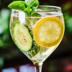 Easy Wine Spritzer: A Crisp & Elegant Drink 5 Easy Wine Spritzer: A Crisp & Elegant Drink - Wine Spritzer Cocktail midia