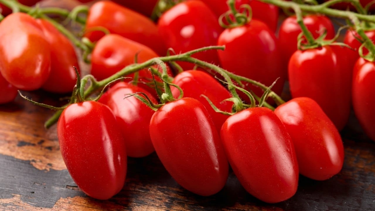 30 minute tomato soup that tastes like you spent all day on it (plus brie grilled cheese) 3 30 minute tomato soup that tastes like you spent all day on it (plus brie grilled cheese) - san marzano tomato s2460993133dnoh