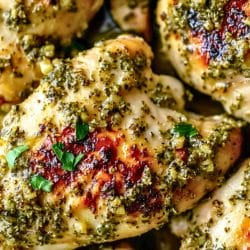 Best Oven Baked Greek Chicken Thighs Recipe for Dinner Idea 5 Best Oven Baked Greek Chicken Thighs Recipe for Dinner Idea - Baked Greek Chicken Thighs midia