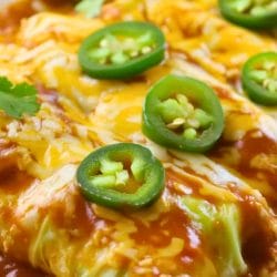 Cabbage Enchiladas for Keto Dieters 5 Cabbage Enchiladas for Keto Dieters - Cabbage Enchiladas for Keto Dieters midia