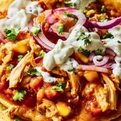 Quick & Smoky Chicken Tinga Tostadas (Ready in 15 Minutes) 4 Quick & Smoky Chicken Tinga Tostadas (Ready in 15 Minutes) - Cheater Chicken Tinga Tostadas midia 1