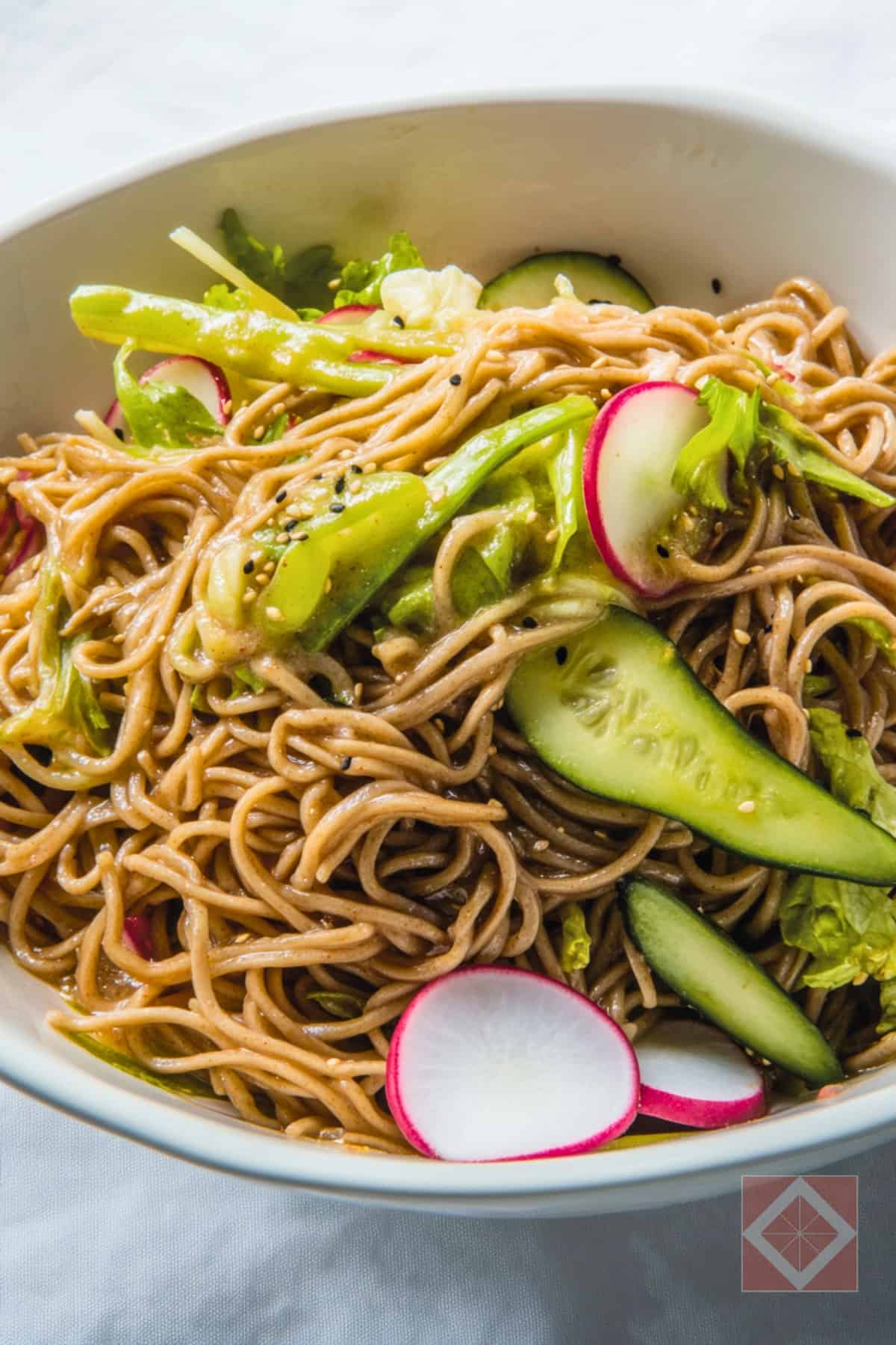 Refreshing Chilled Soba Noodles with Cucumbers & Radishes One-Pot Recipe 3 Refreshing Chilled Soba Noodles with Cucumbers & Radishes One-Pot Recipe - Chilled Soba Noodles with Cucumbers Radishes pin 2 midia