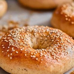 Easy Protein Bagels Recipe for a Quick & Healthy Breakfast 6 Easy Protein Bagels Recipe for a Quick & Healthy Breakfast - Easy Protein Bagels midia