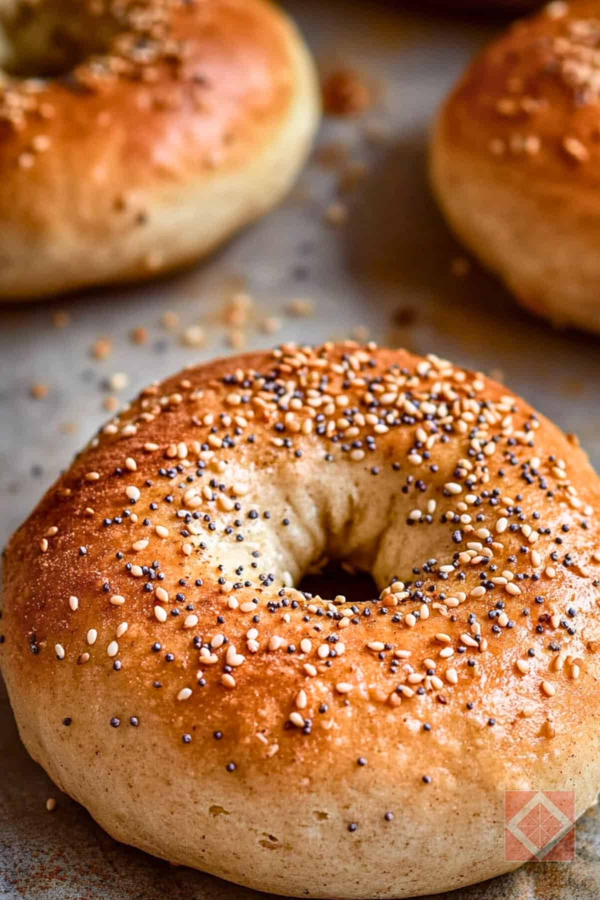 Easy Protein Bagels Recipe for a Quick & Healthy Breakfast 3 Easy Protein Bagels Recipe for a Quick & Healthy Breakfast - Easy Protein Bagels pin 1 midia