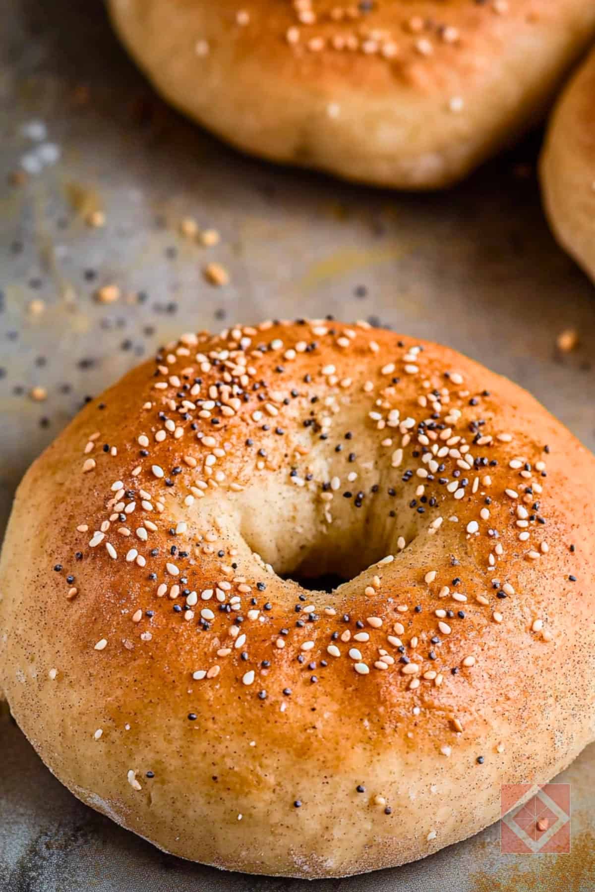 Easy Protein Bagels Recipe for a Quick & Healthy Breakfast 4 Easy Protein Bagels Recipe for a Quick & Healthy Breakfast - Easy Protein Bagels pin 2 midia