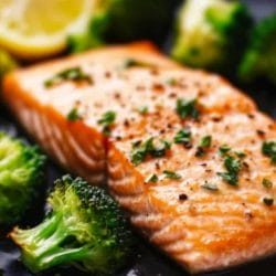 High-Protein Salmon & Broccoli for a Balanced Diet 5 High-Protein Salmon & Broccoli for a Balanced Diet - High Protein Salmon Broccoli midia