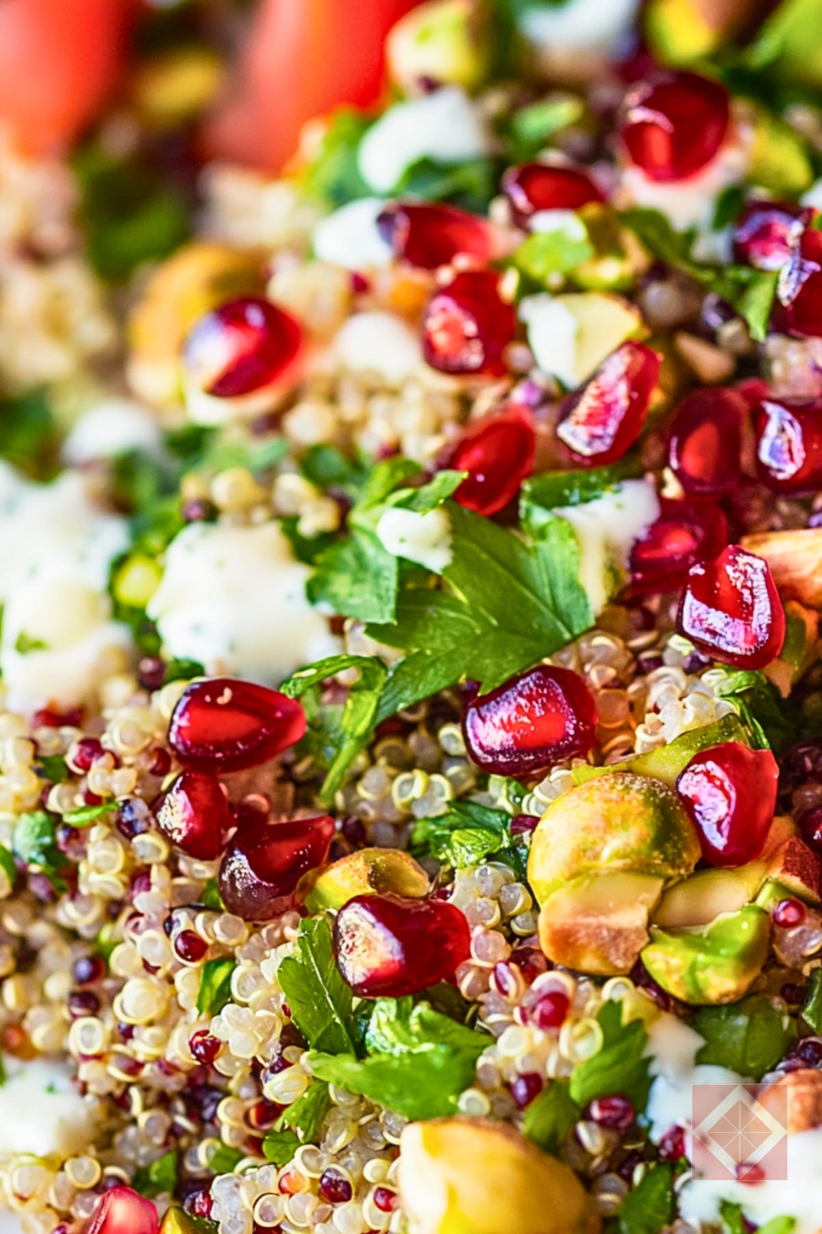 Pomegranate Pistachio Quinoa Salad for the DASH Diet 5 Pomegranate Pistachio Quinoa Salad for the DASH Diet - Pistachio Quinoa Salad with Pomegranate Citrus Vinaigrette pin 3 midia