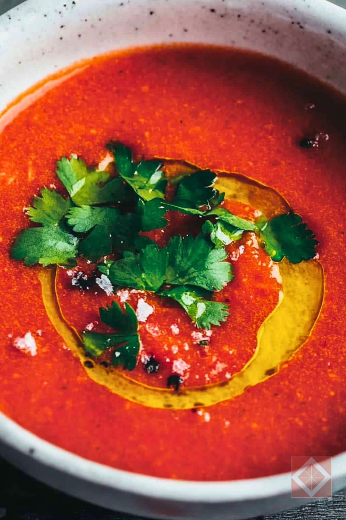 Low-Sodium Red Gazpacho for the DASH Diet 3 Low-Sodium Red Gazpacho for the DASH Diet - Red Gazpacho pin 2 midia