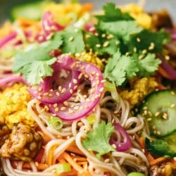 Spicy Soba Noodles with Crispy Tempeh: A Bold, High-Protein Vegan Bowl 4 Spicy Soba Noodles with Crispy Tempeh: A Bold, High-Protein Vegan Bowl - Spicy Tempeh Noodle Salad midia