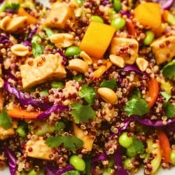 A High-Protein Vegan Take on Classic Thai Quinoa Salad 5 A High-Protein Vegan Take on Classic Thai Quinoa Salad - THAI STYLE QUINOA SALAD midia