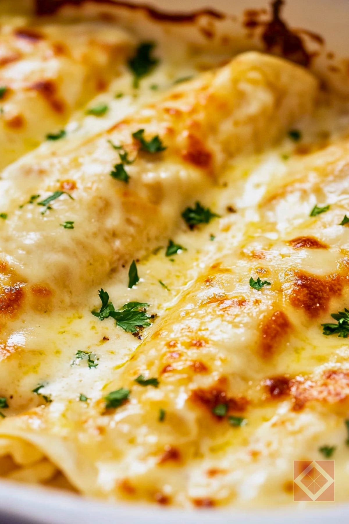 Melt-in-Your-Mouth White Queso Chicken Enchiladas 2 Melt-in-Your-Mouth White Queso Chicken Enchiladas - White Queso Chicken Enchilada pin 1 midia