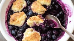 Blueberry Grunt One-Pot Recipe for a Simple Family Dessert 1 Blueberry Grunt One-Pot Recipe for a Simple Family Dessert - Blueberry Grunt midia