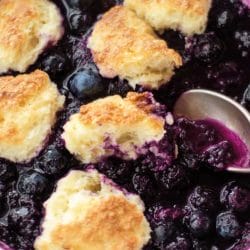Blueberry Grunt One-Pot Recipe for a Simple Family Dessert 4 Blueberry Grunt One-Pot Recipe for a Simple Family Dessert - Blueberry Grunt midia